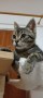 Arya (2)